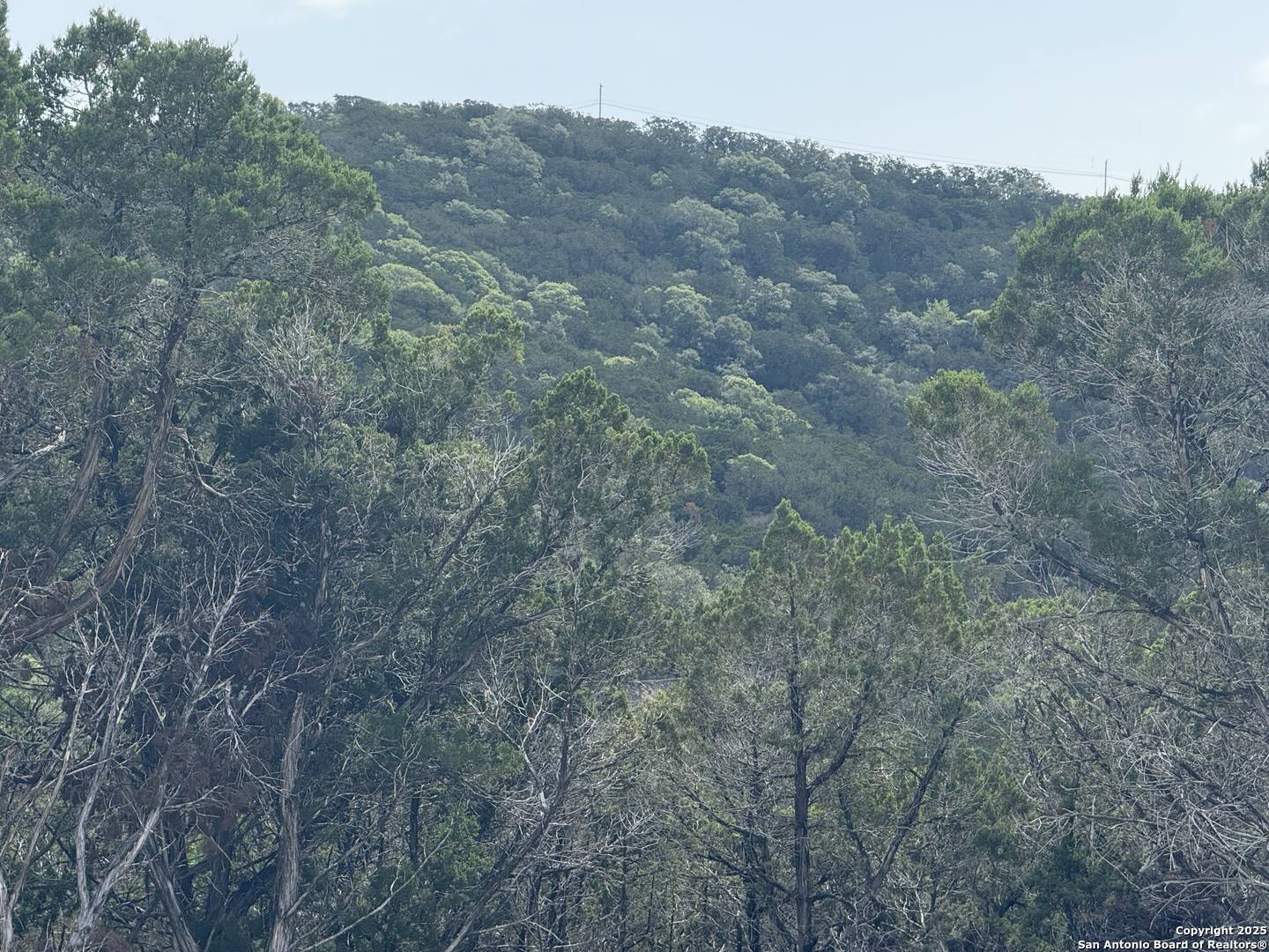 Pipe Creek, TX 78063,1608 Spring