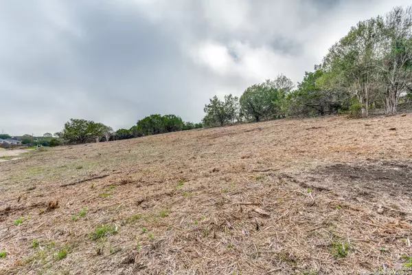 Live Oak, TX 78233,014 Wesp Way