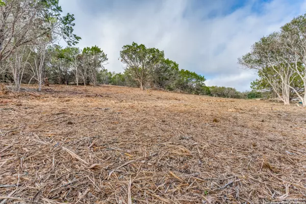 Live Oak, TX 78233,015 Wesp Way