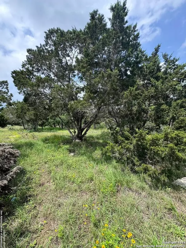 Spring Branch, TX 78070,262 WREN CIR