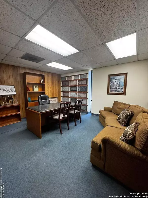 Corpus Christi, TX 78408,300 Palm