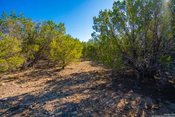 Leakey, TX 78873,000 Little Dry Frio Rd Lot 1