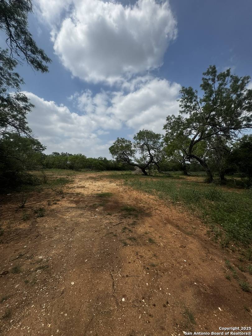 Atascosa, TX 78002,14161 Ted Williams