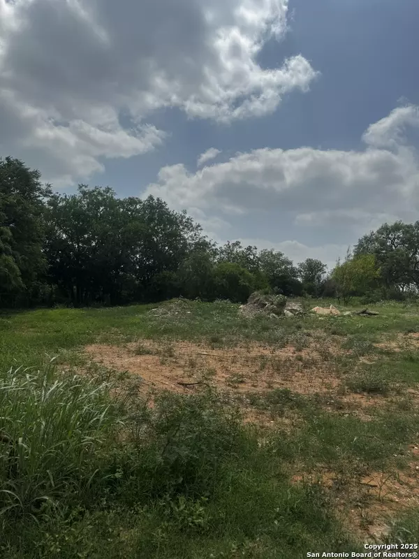 Atascosa, TX 78002,14161 Ted Williams