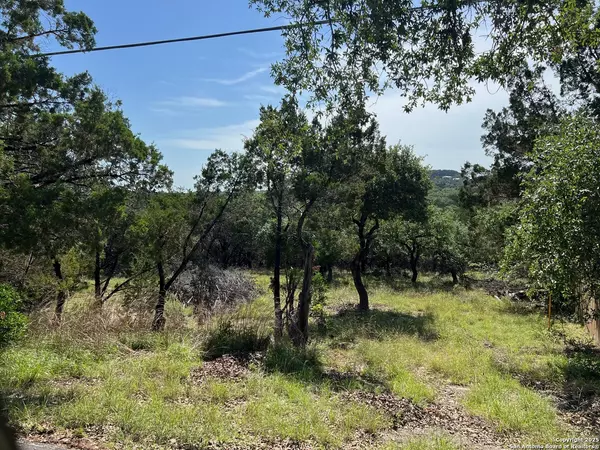 Canyon Lake, TX 78133,TBD LUEHLFING DRIVE