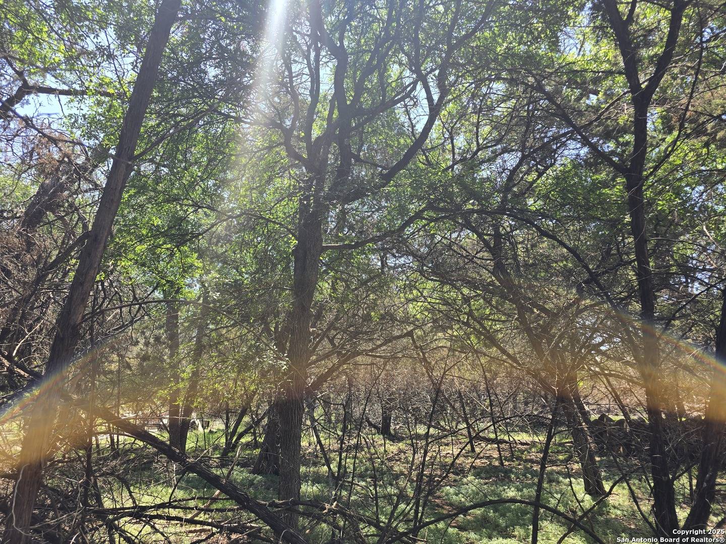 Spring Branch, TX 78070,1548 Winding Creek Trail