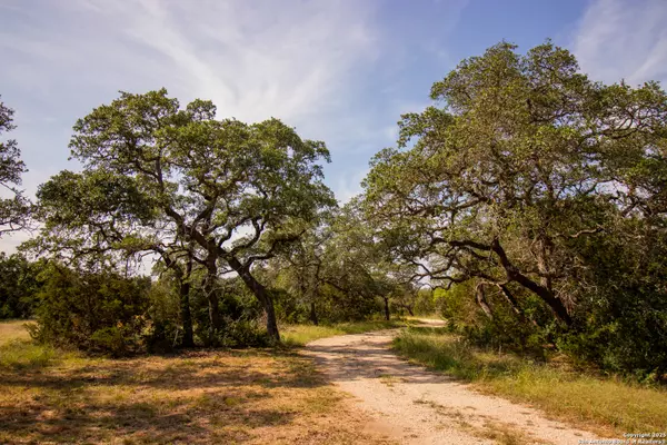 Spring Branch, TX 78070,11725 Rebecca Creek