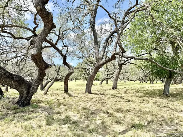 Pleasanton, TX 78064,LOT 53A Massad