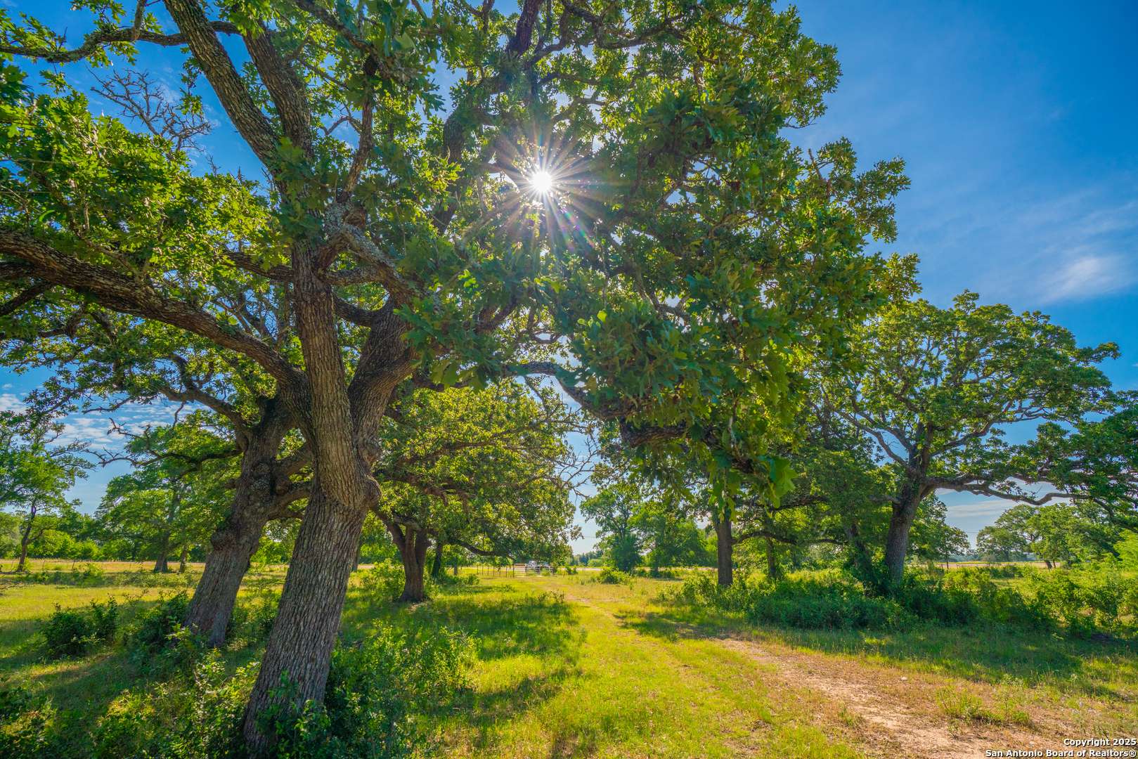 Smithville, TX 78957,(TRACT 1) 1050 FM 2104