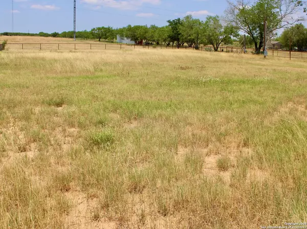 Atascosa, TX 78002,12555 #3 Briggs