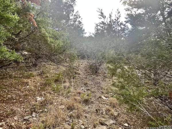 San Antonio, TX 78260,26003 CHOCTAW TRAIL