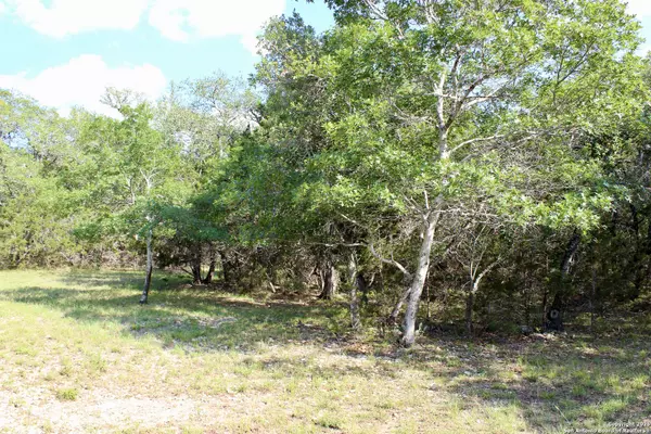 Bulverde, TX 78163,197 Rosenberry