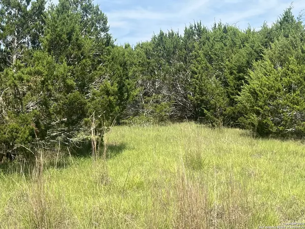 Canyon Lake, TX 78133,1809 desiree