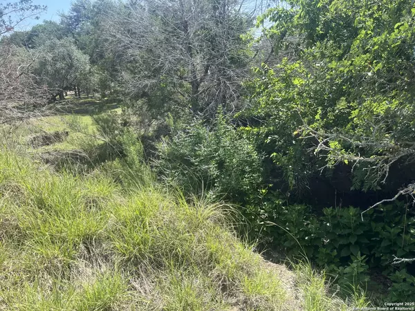 Canyon Lake, TX 78133,1809 desiree