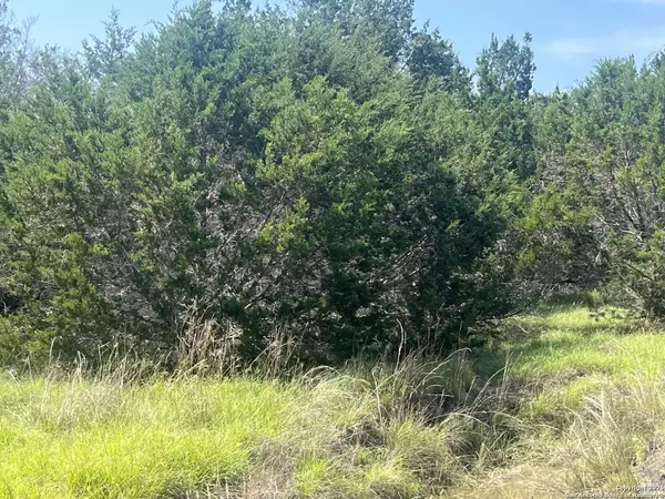 Canyon Lake, TX 78133,1809 desiree