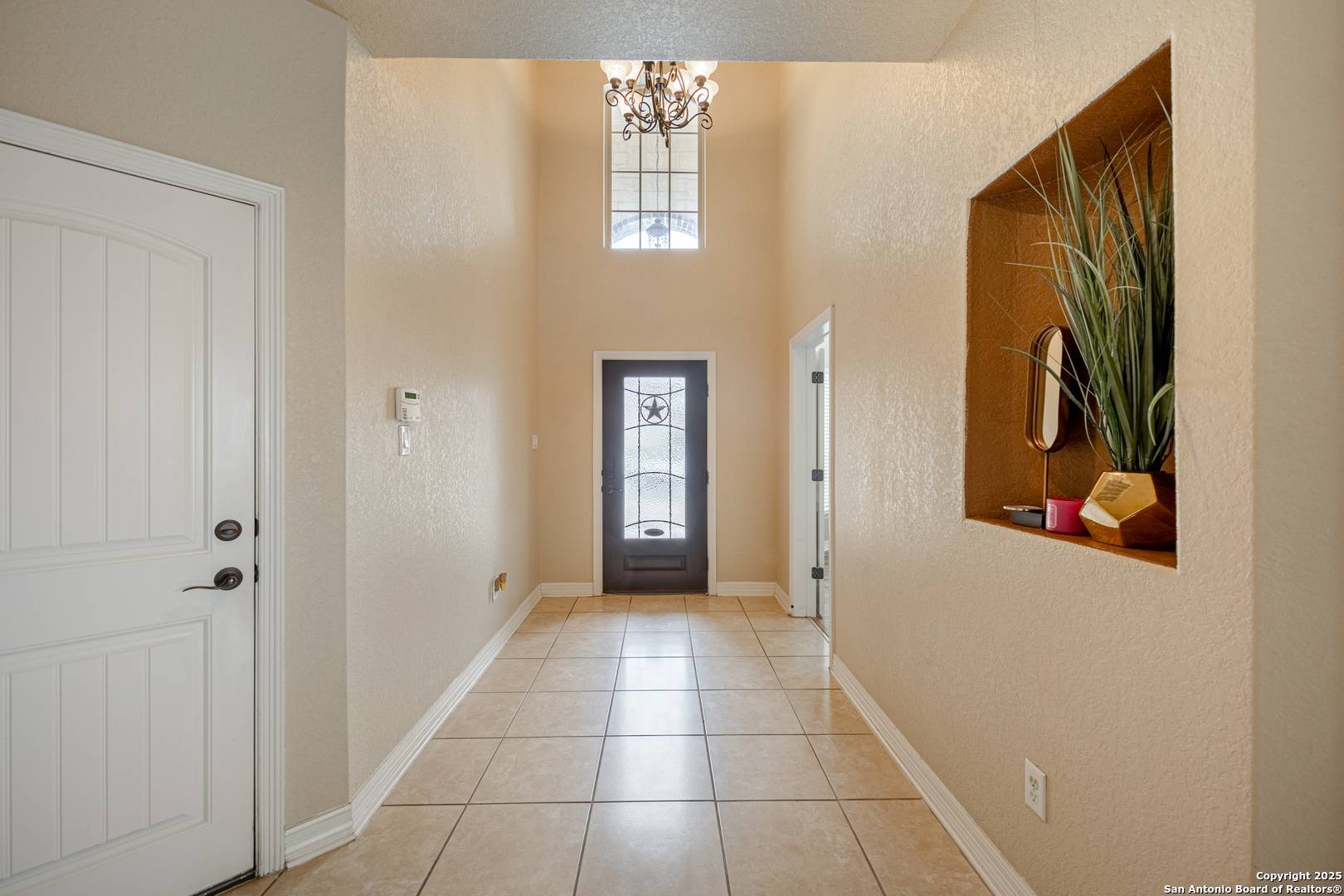 San Antonio, TX 78245,11102 Butterfly Bush