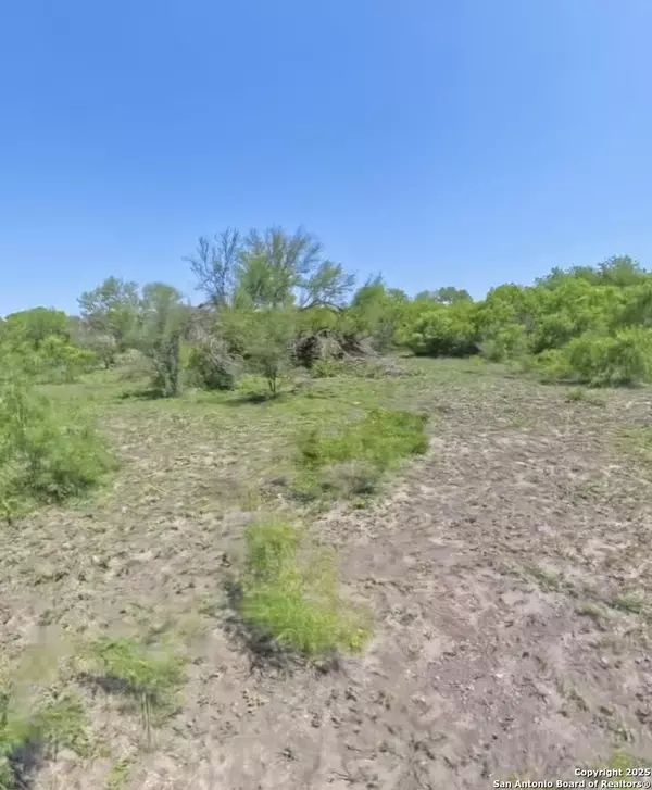 Falls City, TX 78113,LOT 2 0 CR 197