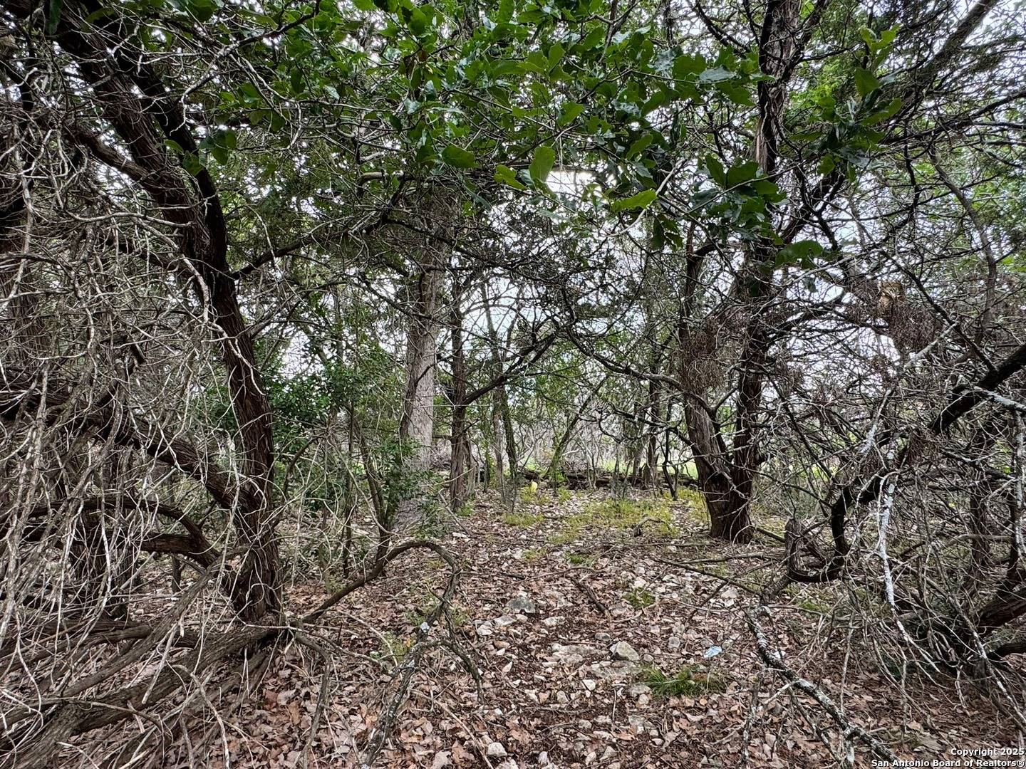 Spring Branch, TX 78070,1107 High Point