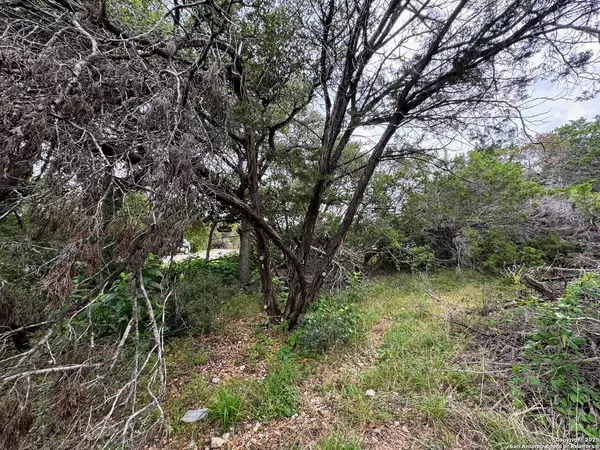 Spring Branch, TX 78070,1107 High Point