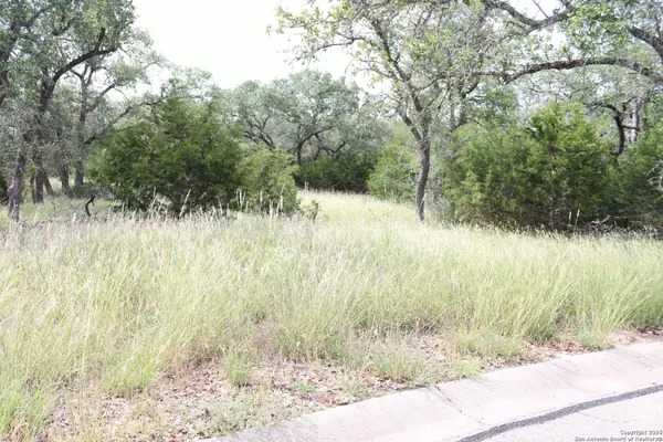 Spring Branch, TX 78070,105 Sabella