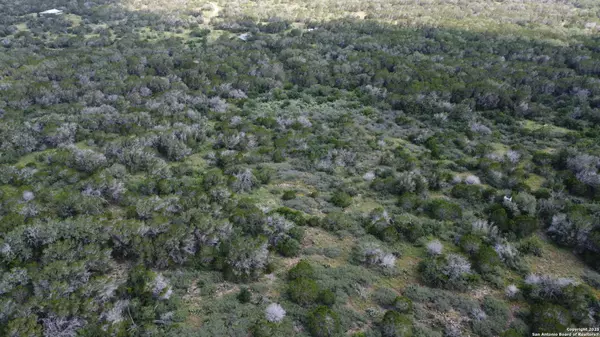 Sabinal, TX 78881,000 Private Road 3341