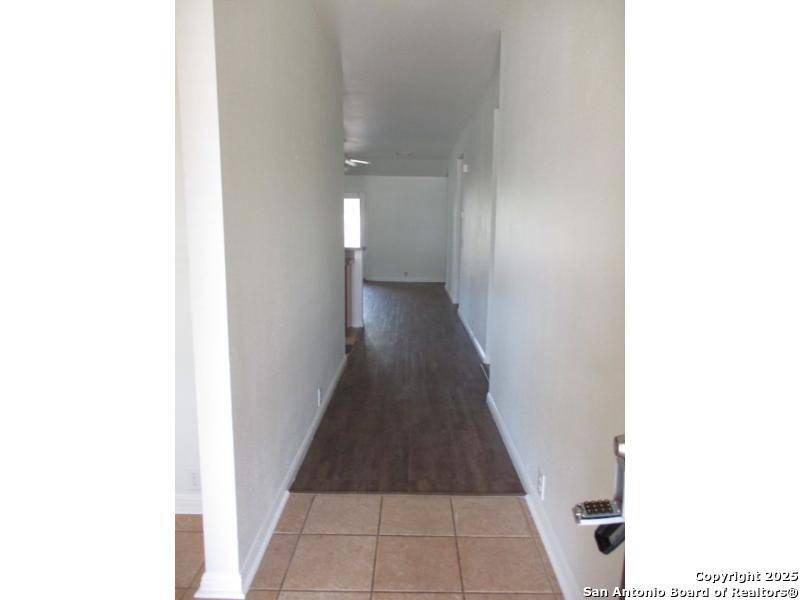 San Antonio, TX 78259,20326 Liatris