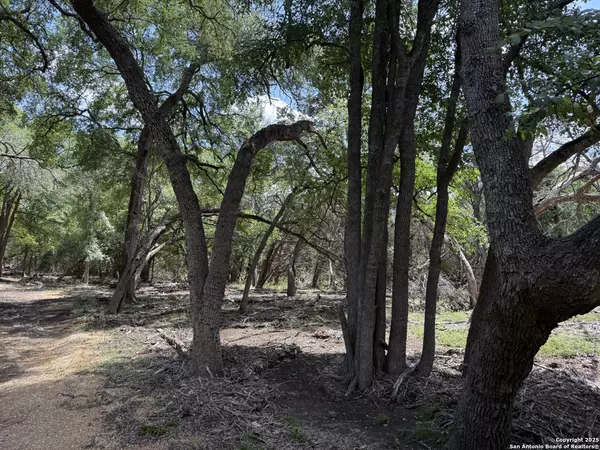 Boerne, TX 78006,10119 Johns Rd