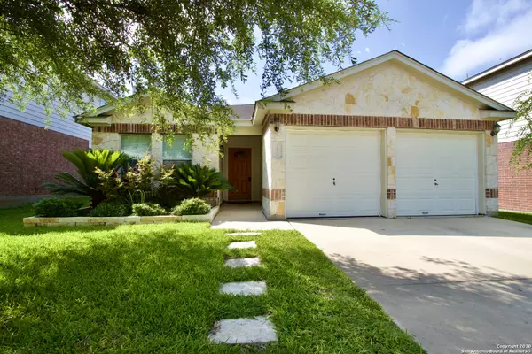 San Antonio, TX 78259,3814 Alpine Aster