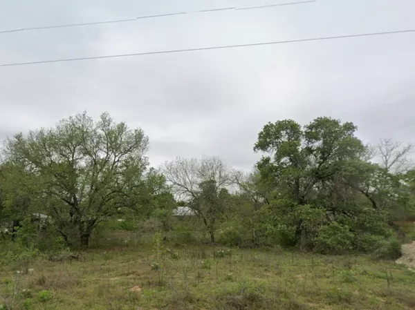 Poteet, TX 78065,48 grey fox