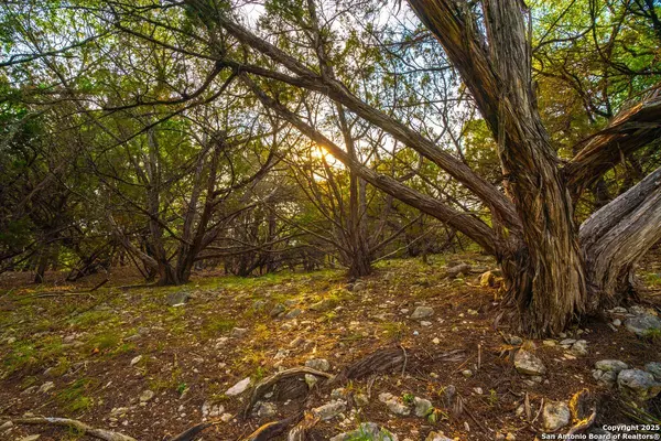 Boerne, TX 78006,103 Bella Springs Rd