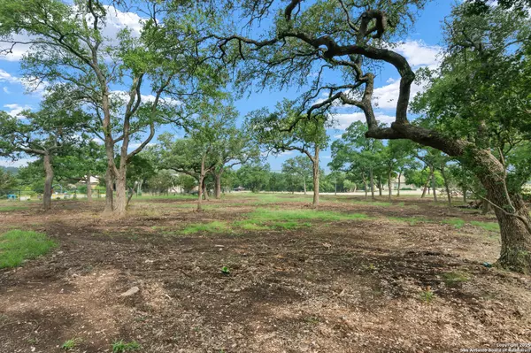 New Braunfels, TX 78132,355 Curvatura