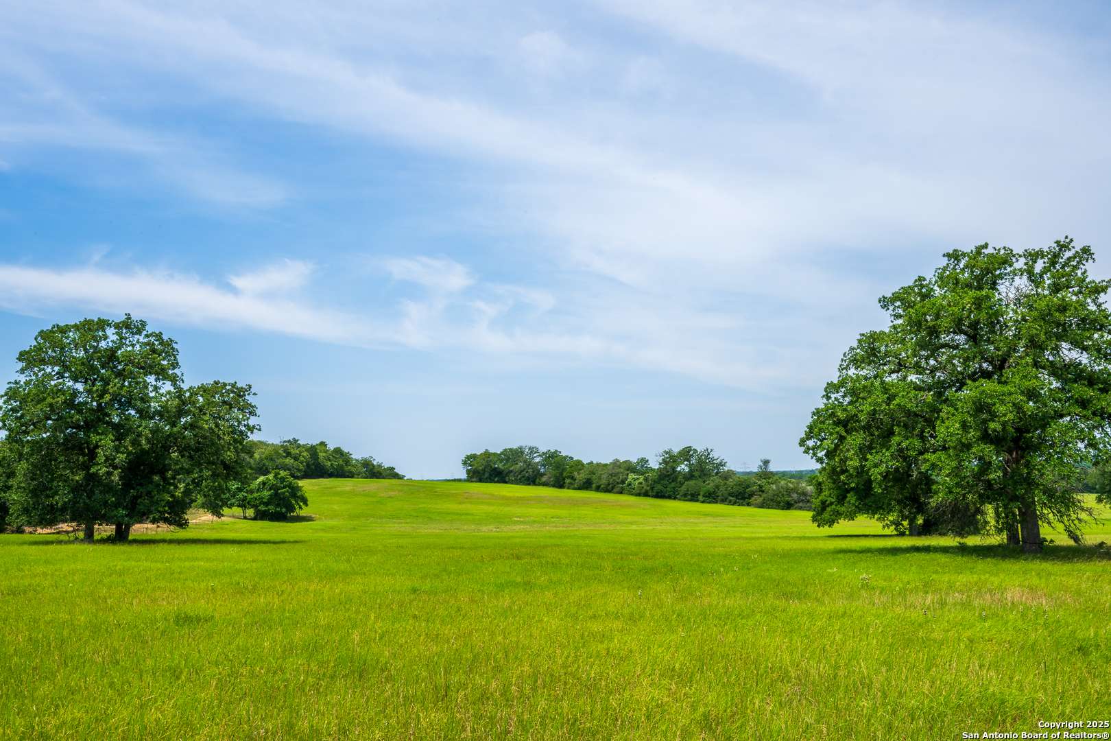 Thorndale, TX 76577,3671 county road 455