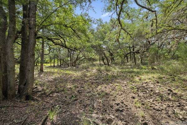 547 County Road 3401, Hondo, TX 78861