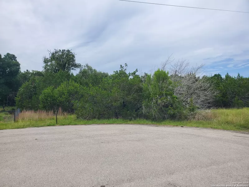 1230 Fir, Fischer, TX 78623