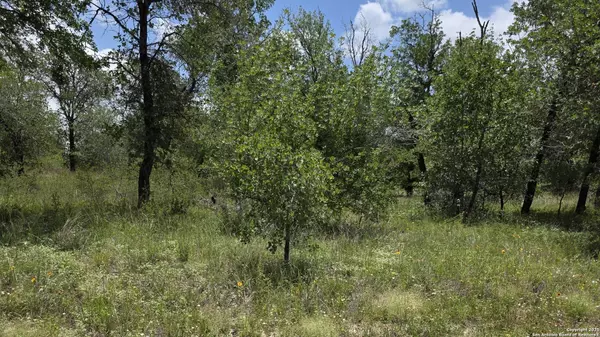 Somerset, TX 78069,LOT 49 Crestway