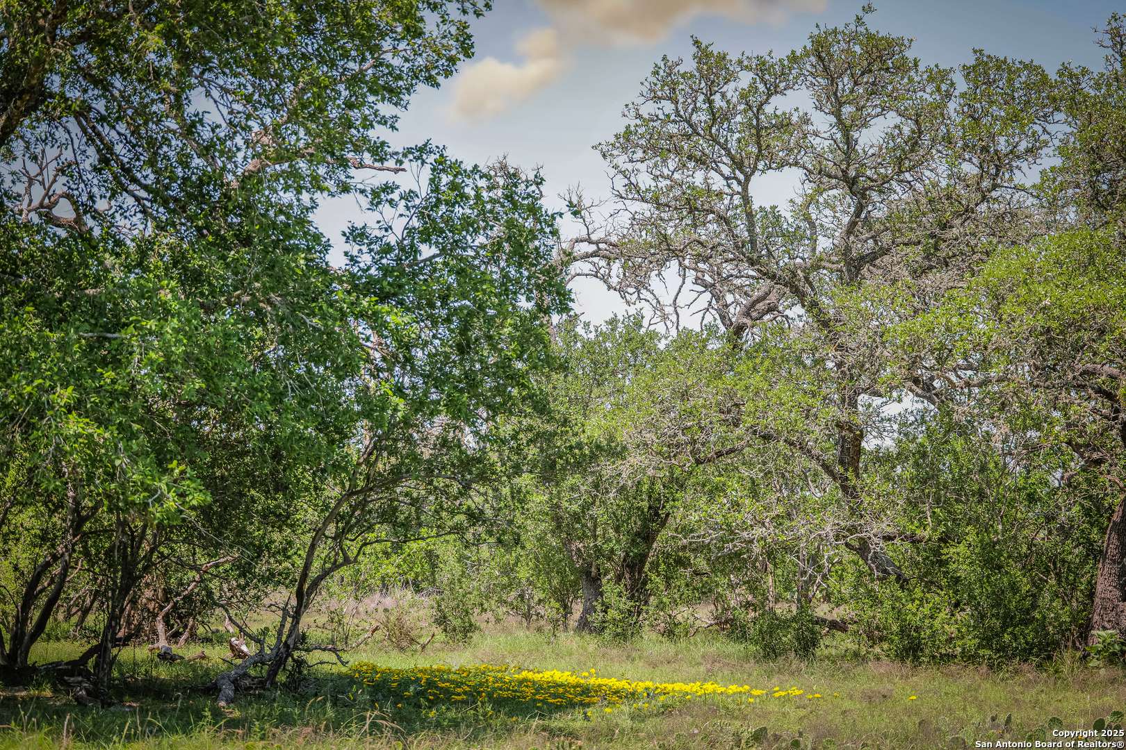 Boerne, TX 78006,TBD RM 473