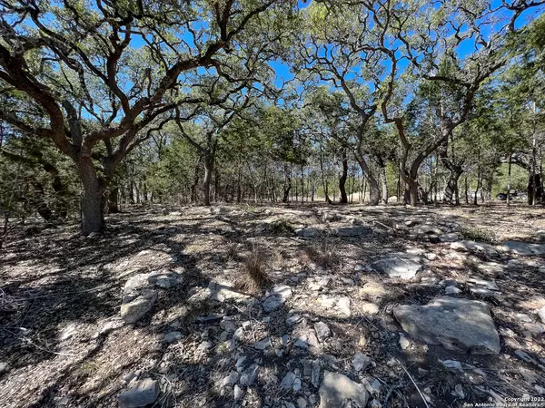 Canyon Lake, TX 78133,209 Legacy Ridge