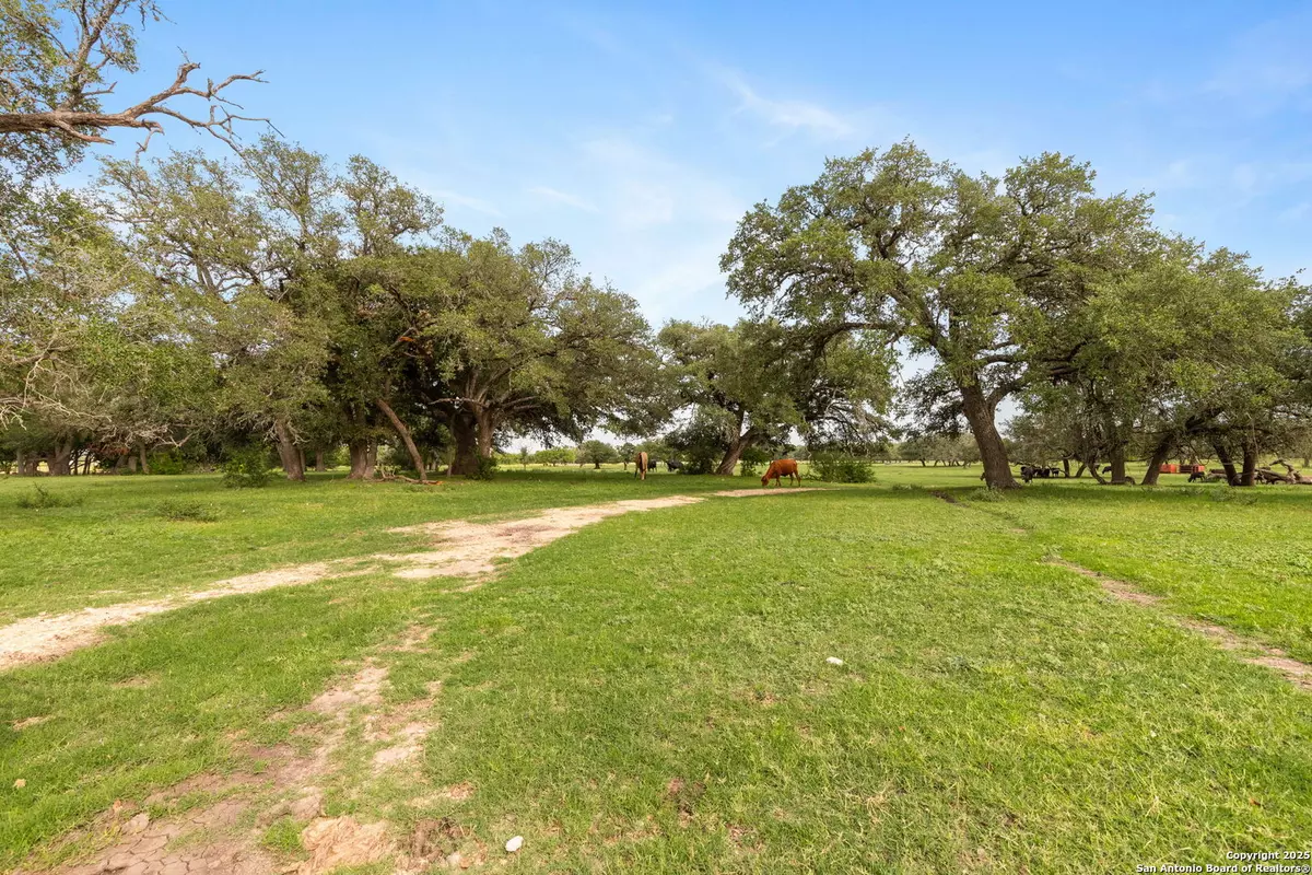 Seguin, TX 78155,TBD Martindale