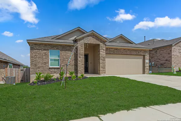 Bulverde, TX 78163,5939 American Elm