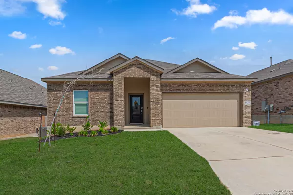 Bulverde, TX 78163,5939 American Elm