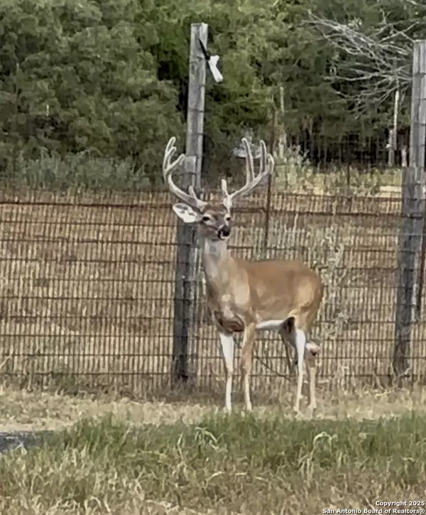 10745 ROSEMAR LN, Adkins, TX 78101