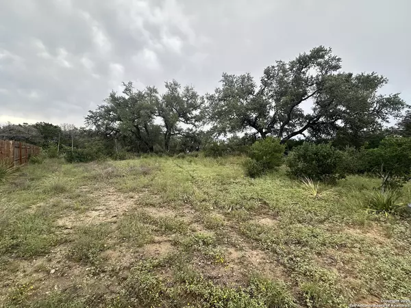 Spring Branch, TX 78070,799 Mockingbird