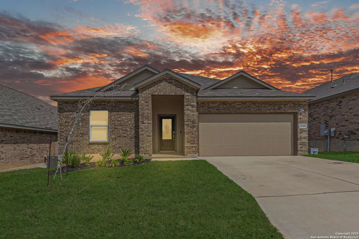Bulverde, TX 78163,5939 American Elm