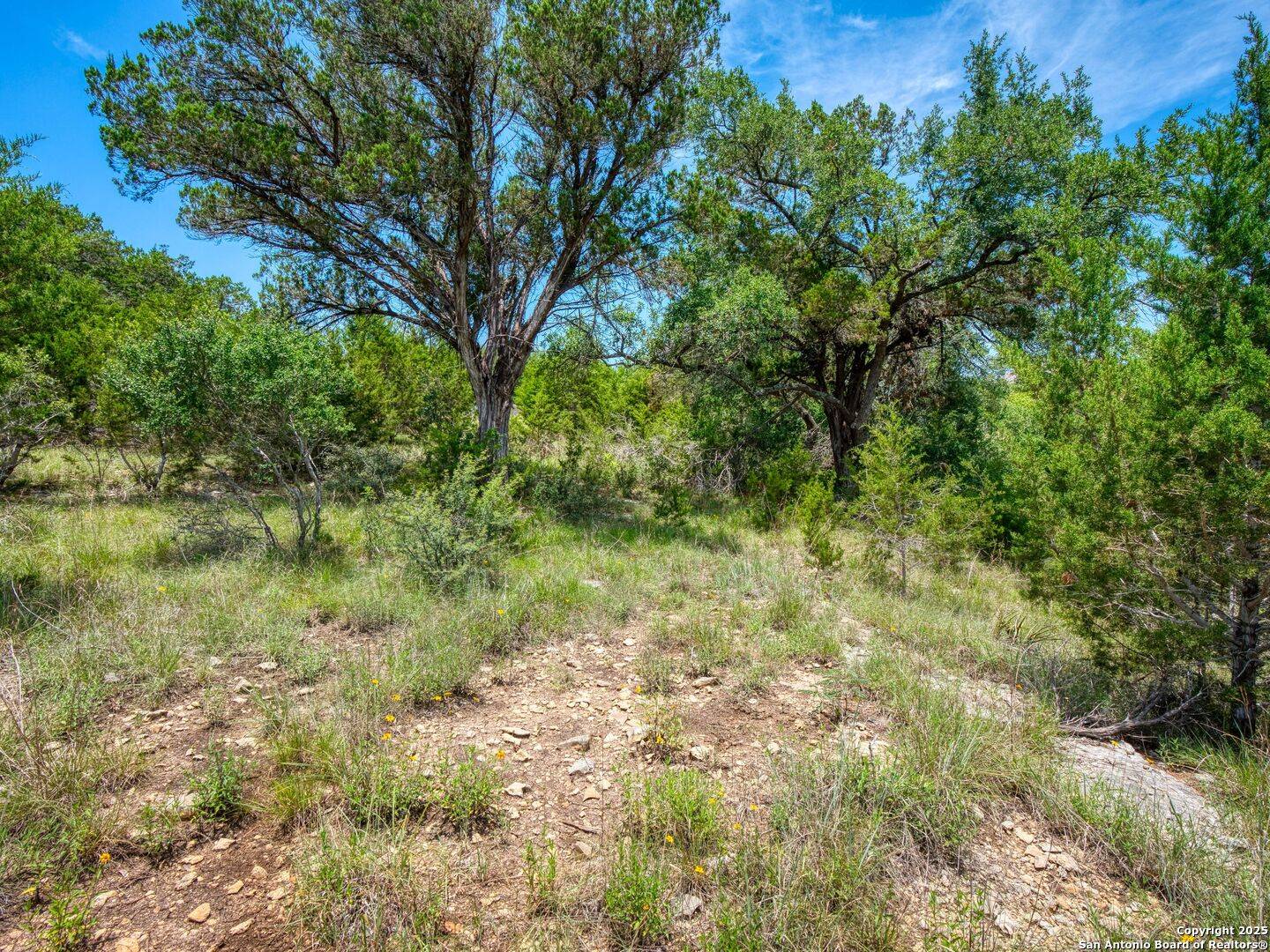 Canyon Lake, TX 78133,114 Oyster