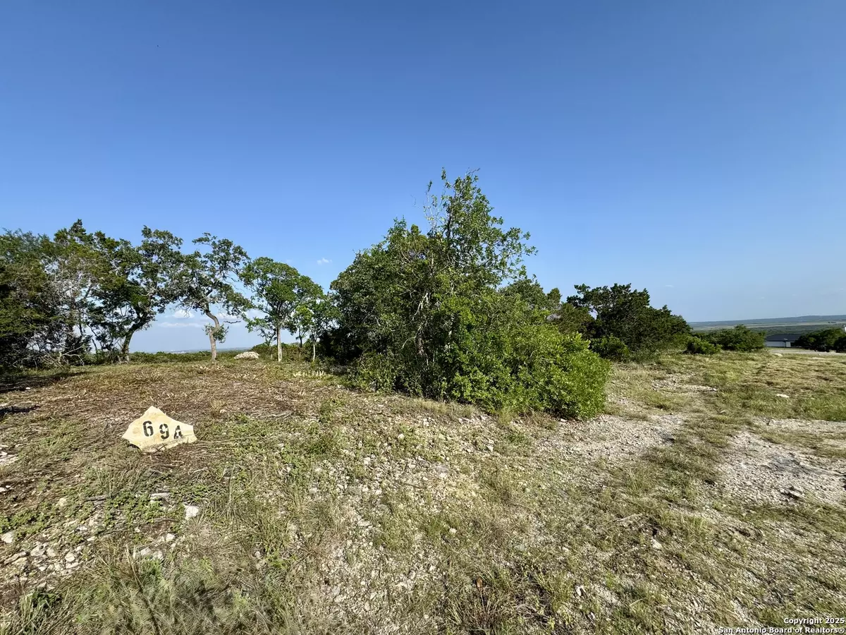 Mico, TX 78056,694 County Road 2801 E