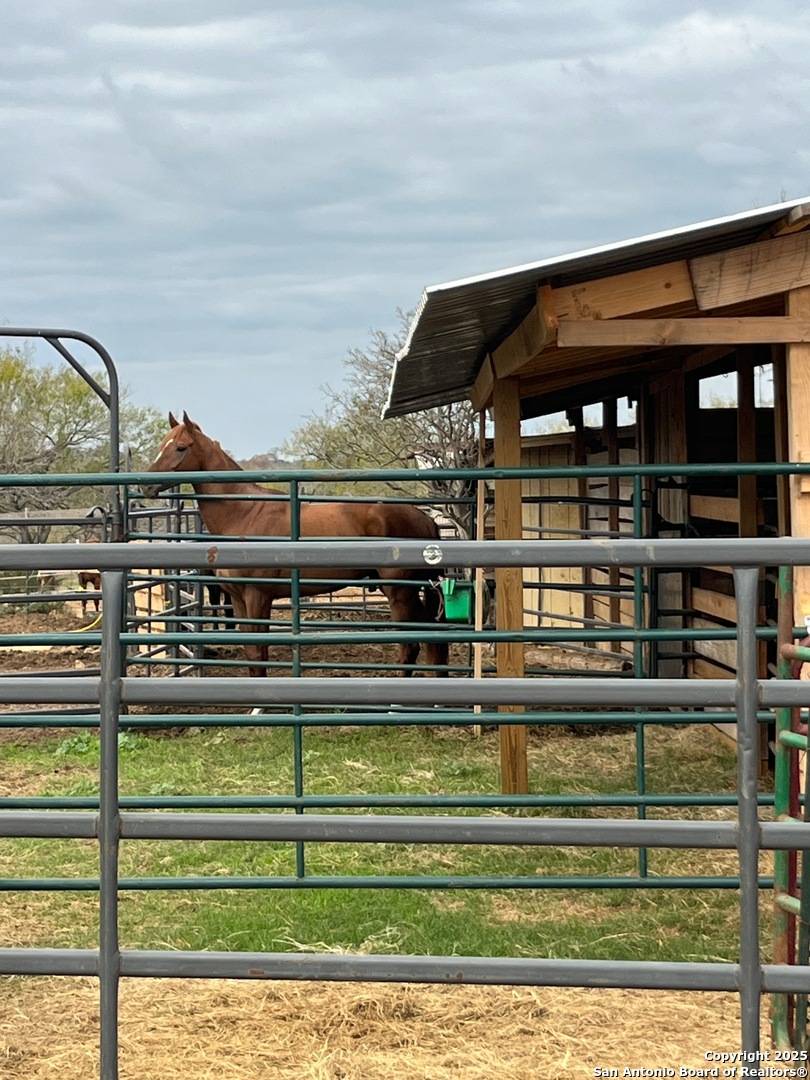St Hedwig, TX 78152,3285 Pittman
