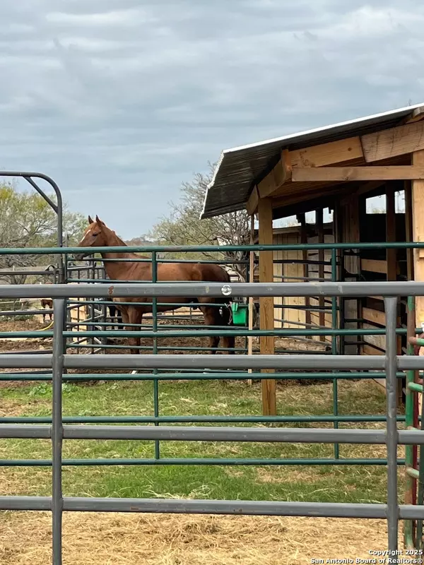 St Hedwig, TX 78152,3285 Pittman