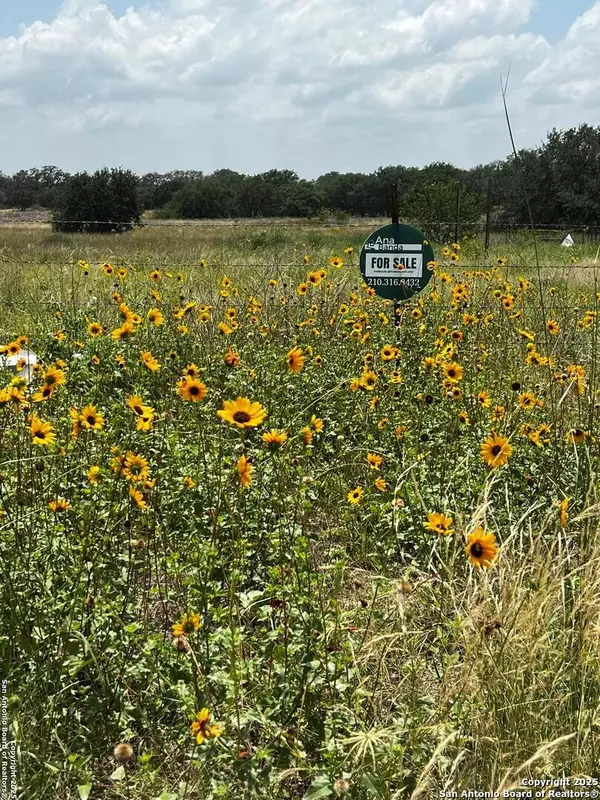 Von Ormy, TX 78073,TBD, LOT 5 Sanctuary Ln