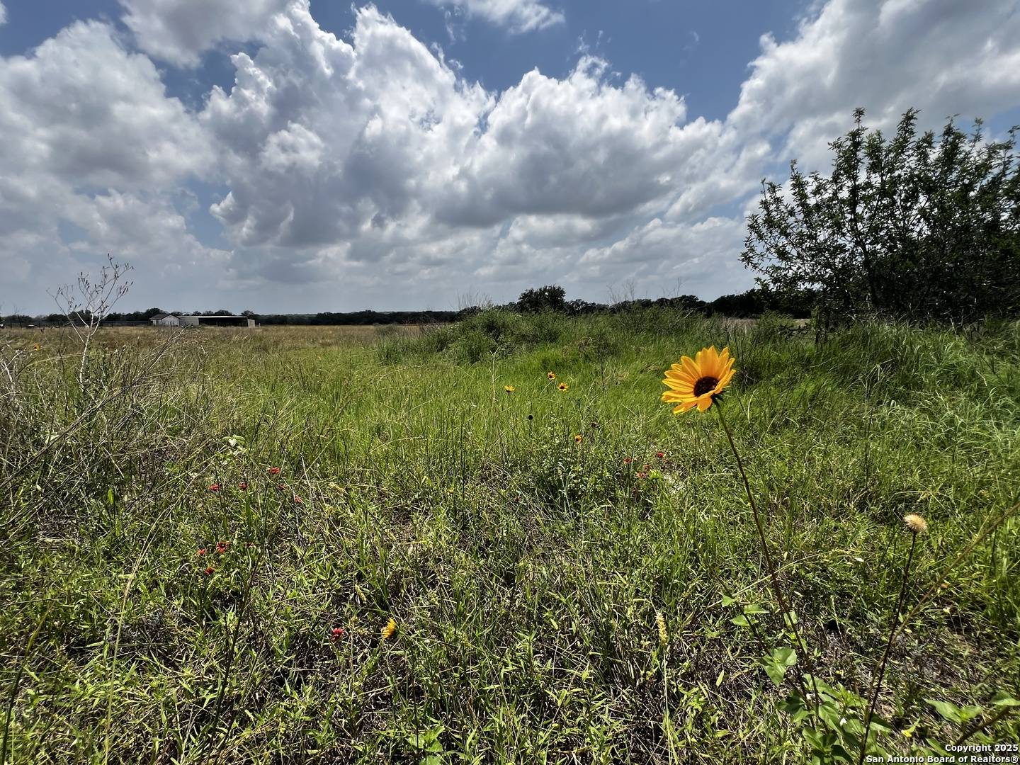 TBD, LOT 5 Sanctuary Ln, Von Ormy, TX 78073