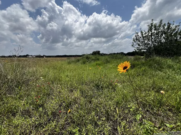 Von Ormy, TX 78073,TBD, LOT 5 Sanctuary Ln